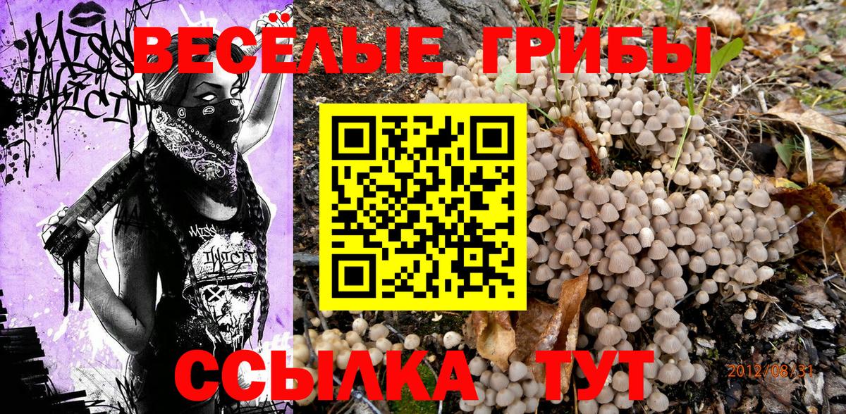 закладка  Вход с VPN  Обь  Галлюциногенные грибы мухоморы 